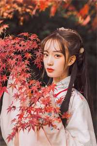 月凉风陈，爱终有绝期未删节
