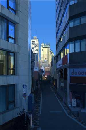 伴侣杀我全家当鲛皇，重生后我送她下地狱剧情