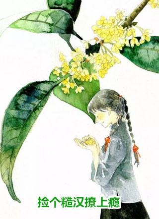 压寨太子妃全文免费
