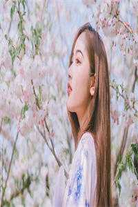 桃花尽头相思绝最后结局