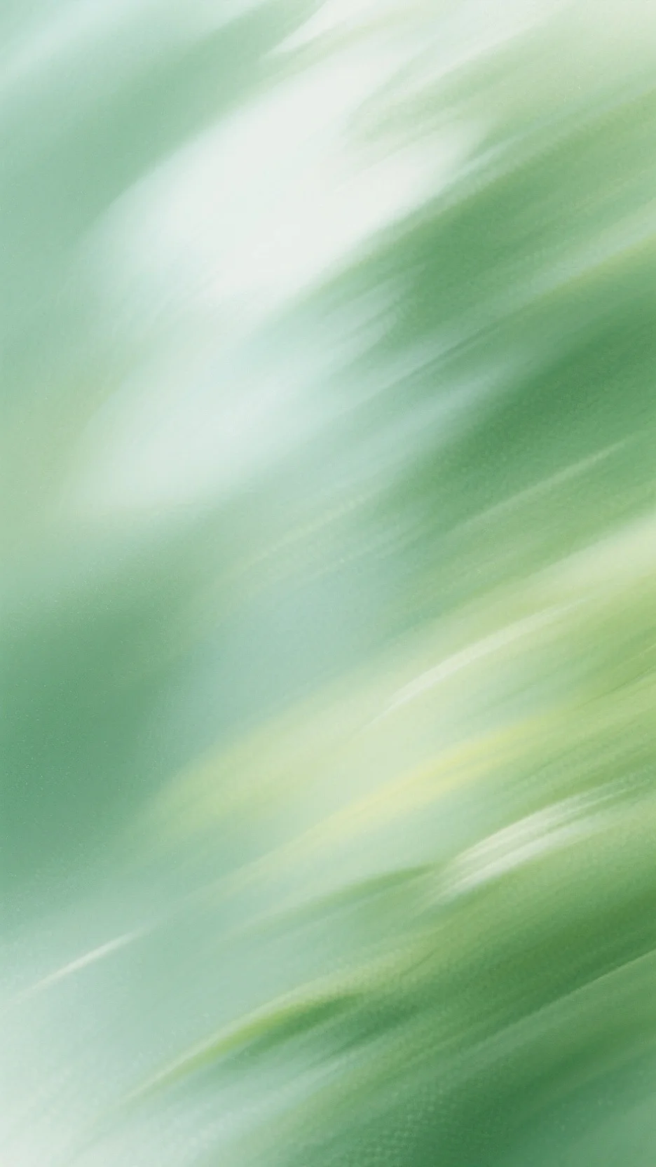 花溪的秘密花溪高明川全章节小说