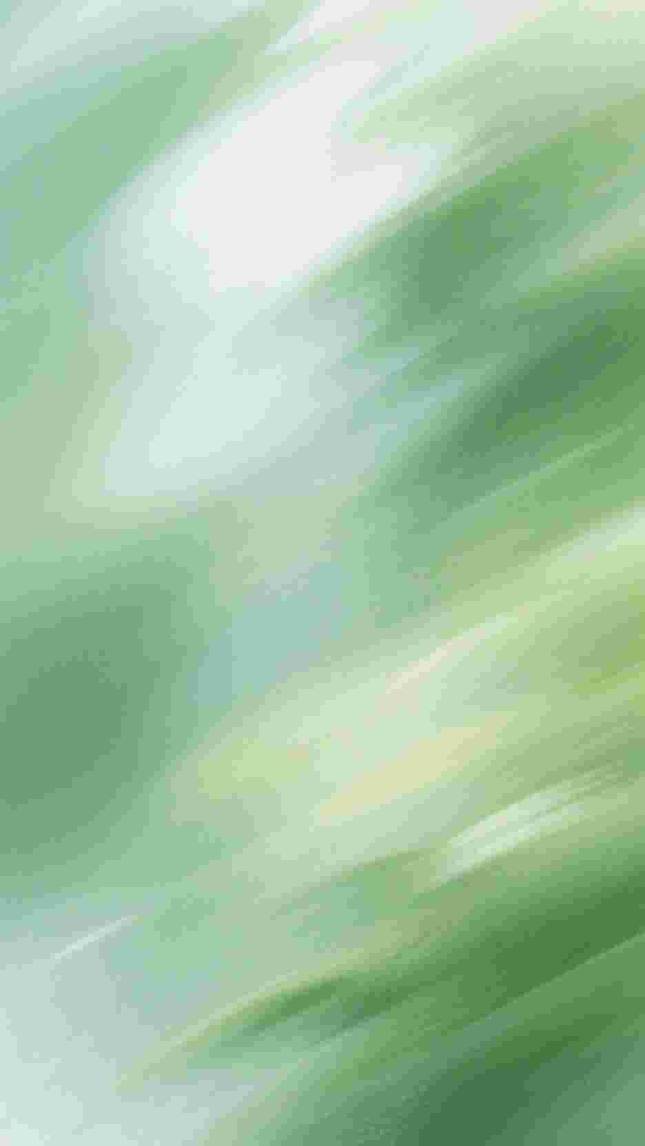 不舔后,校花慌了温泽宇韩淳雅全文+番茄